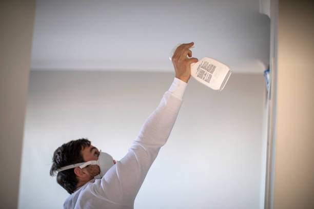 Mold Removal Process in Hollister, CA