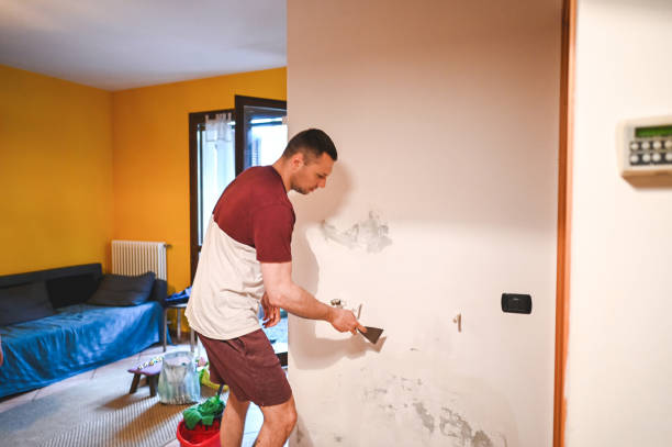 Best Professional Mold Removal  in Hollister, CA